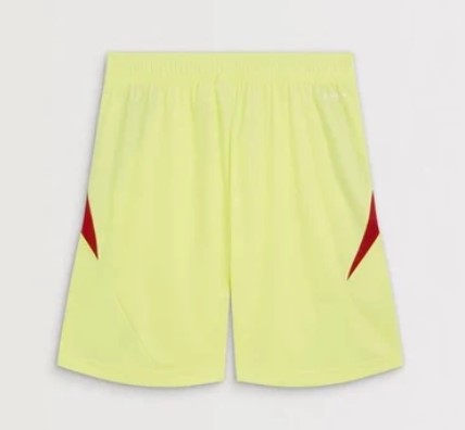 Camiseta y Pantalones para niños Arsenal Portero 25/26