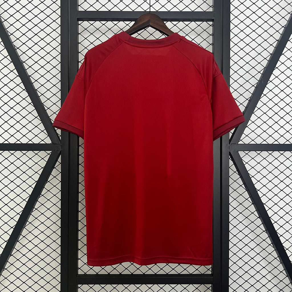 Camiseta Bayern de Múnich Edición Especial 24/25