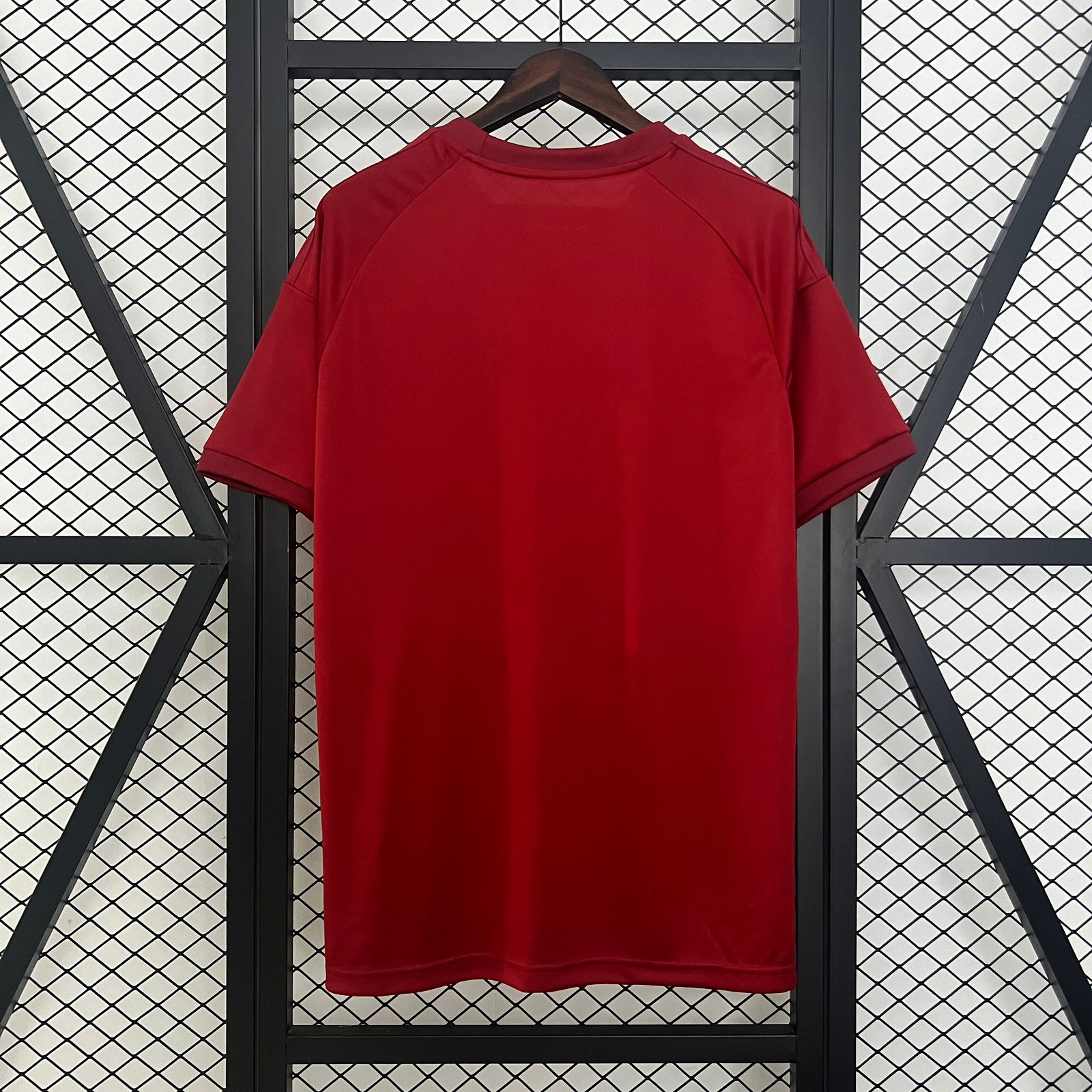 Camiseta Bayern de Múnich Edición Especial 24/25