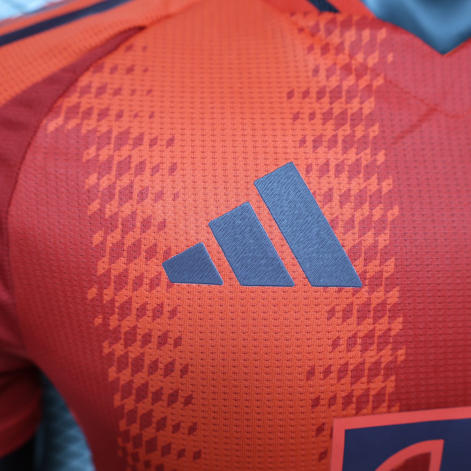 Camiseta Bayern de Múnich Home 24/25 - Jugador