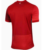 Camiseta Polonia Away 24/25