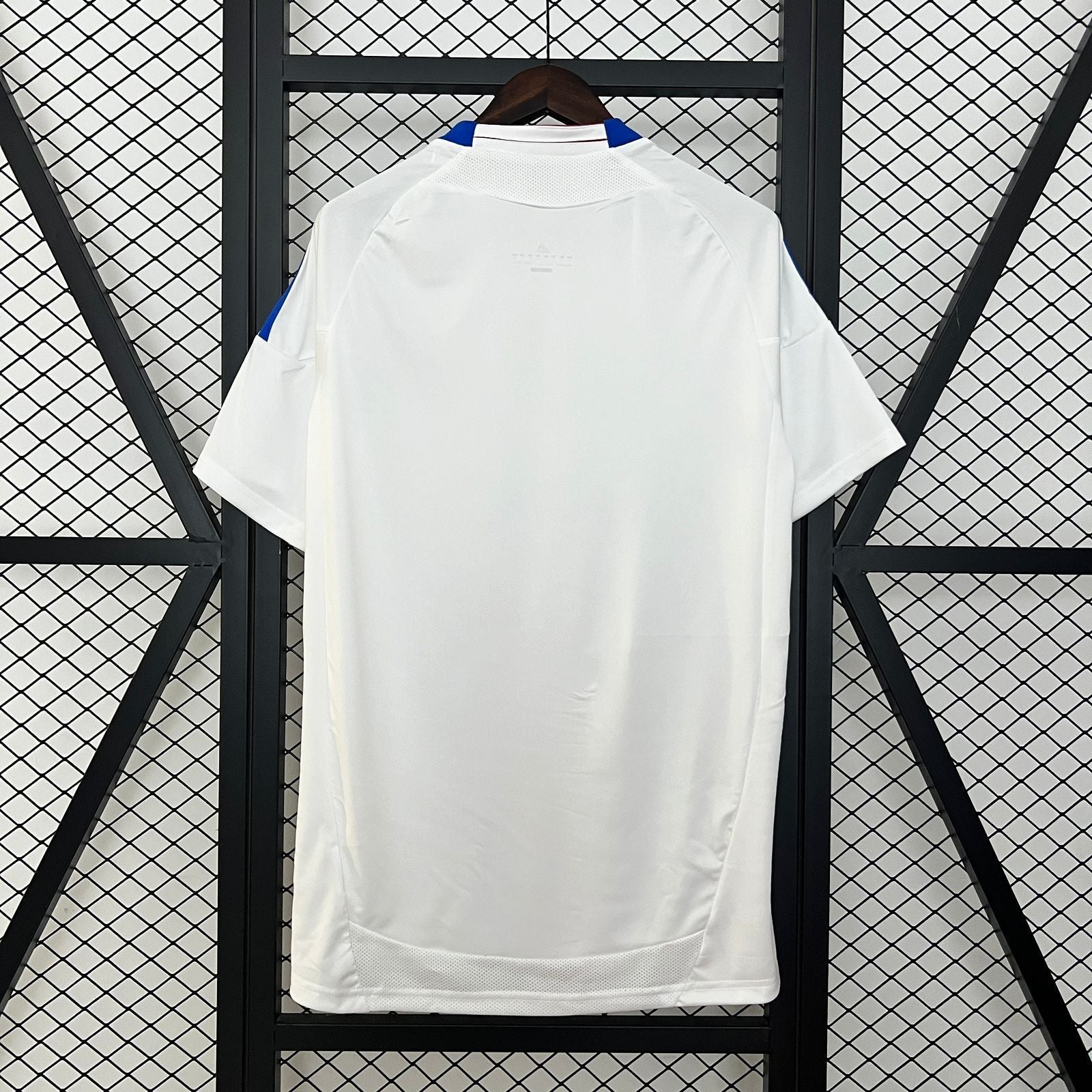 Camiseta Retro Lyon 10/11