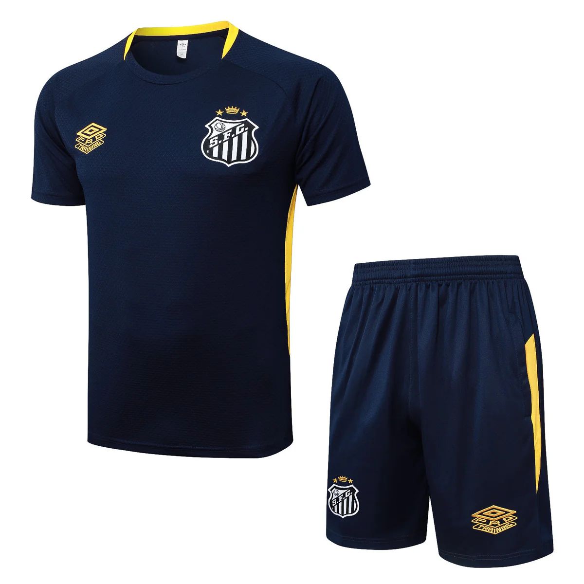 Camiseta y Pantalón corto de entrenamiento para niños Santos 25/26