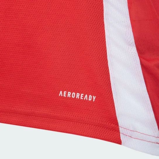 Camiseta Internacional Home 25/26